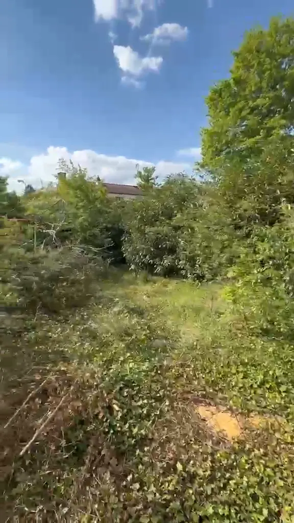 Jardin d’un pavillon avant remise en état : herbes hautes, ronces et broussailles